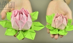 Hướng dẫn gấp hoa sen đơn giản bằng giấy bìa màu